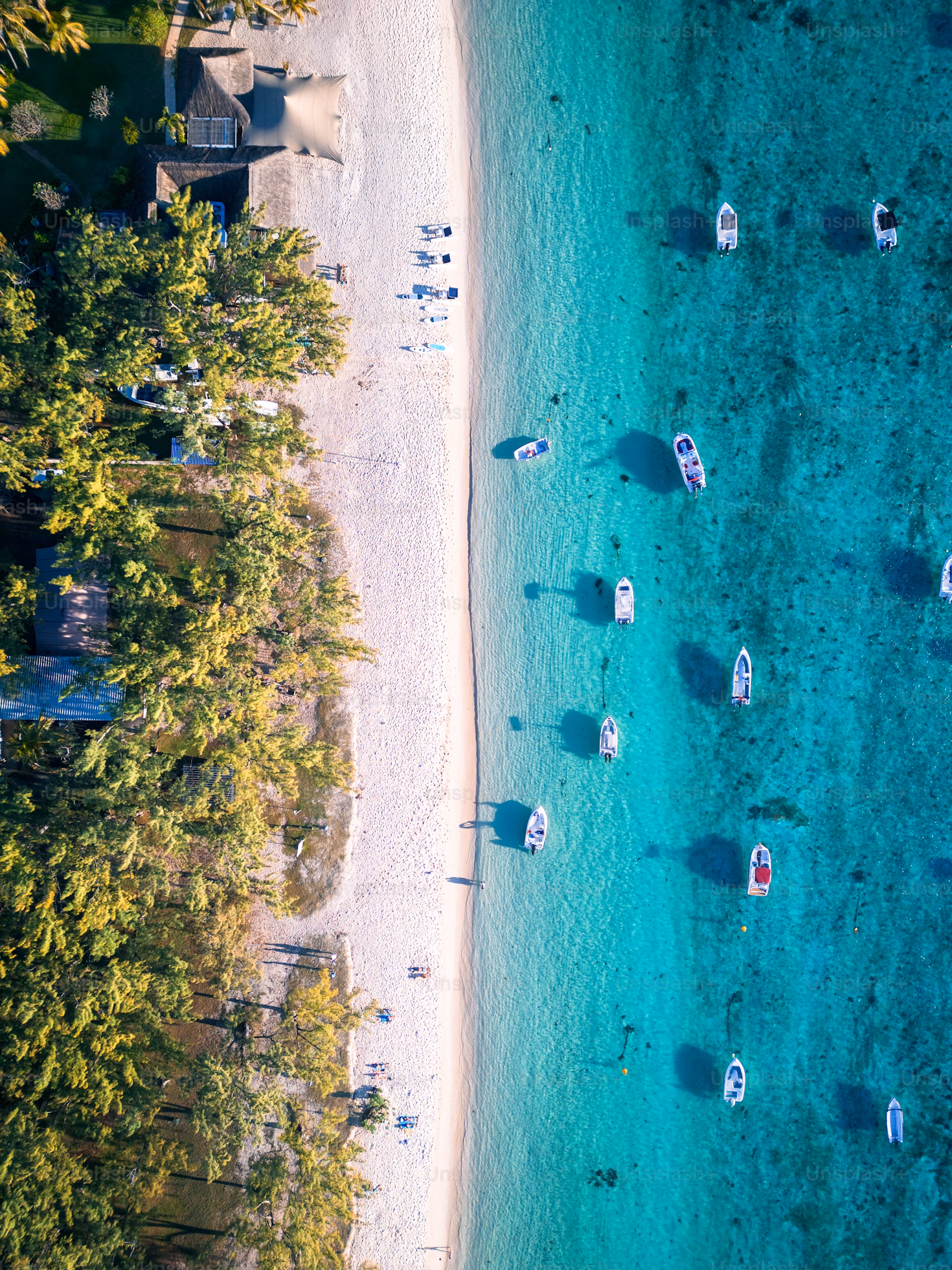 TravelBuddy Mobile App